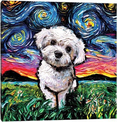 Maltipoo Night Canvas Art Print - Dog Art