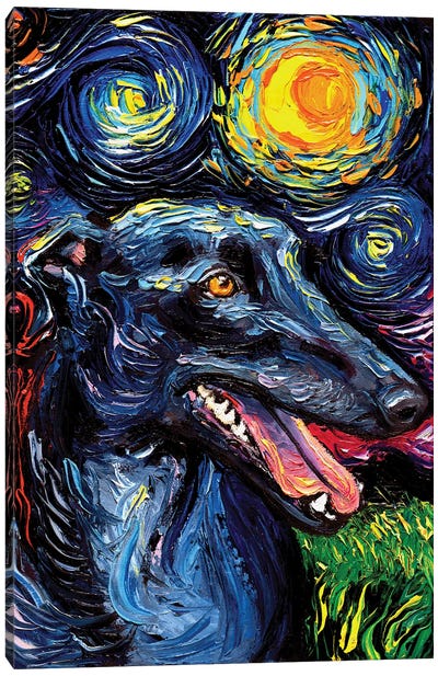 Greyhound Night Canvas Art Print - Greyhound Art