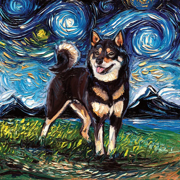 Black And Tan Shiba Inu Night