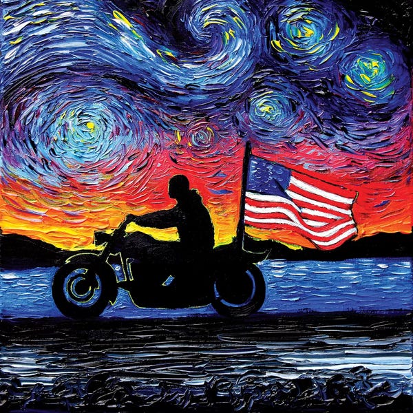 American Flags: Easy Rider by Aja Trier