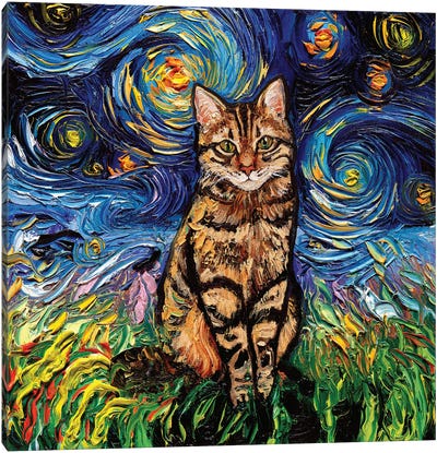 Brown Tabby Night Canvas Art Print - Starry Night Collection