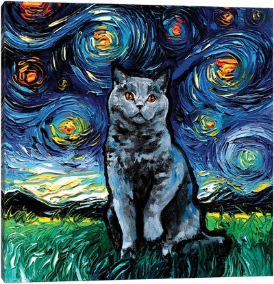 Blue British Shorthair Night Canvas Art Print - British Shorthair Cat Art