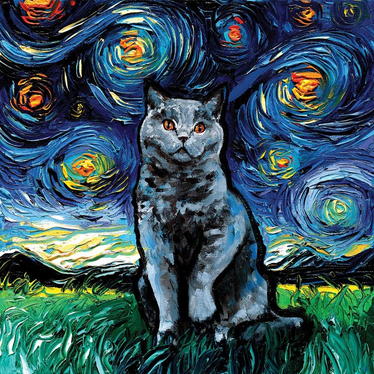 Blue British Shorthair Night