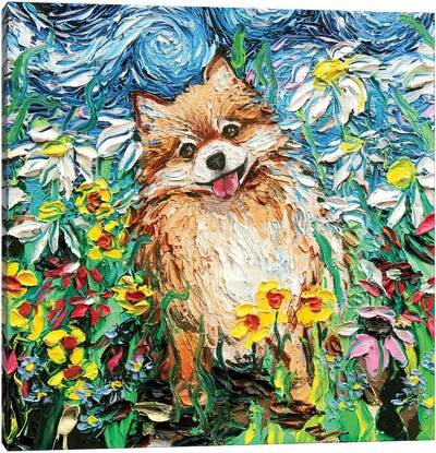 Happy Canvas Art Print - Pomeranian Art