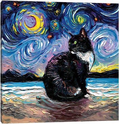 Green Eyed Tuxedo Cat Night Canvas Art Print - Tuxedo Cat Art