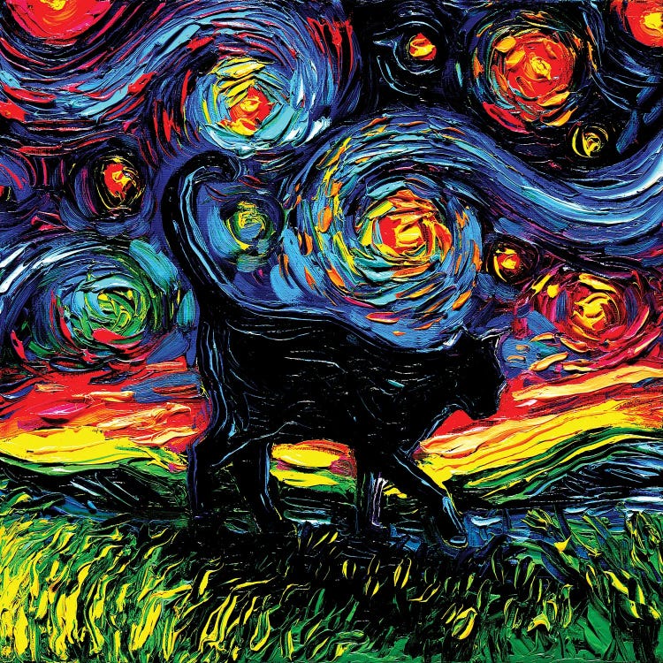 Black Cat Night IV
