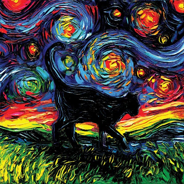 Black Cat Night IV