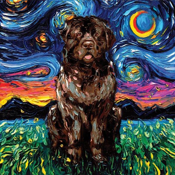 Brown Newfoundland Night