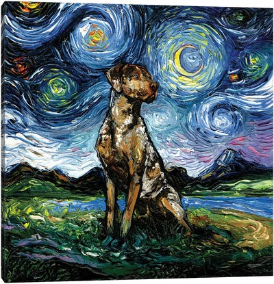Catahoula Leopard Dog Night Canvas Art Print - 3-Piece Astronomy & Space Art