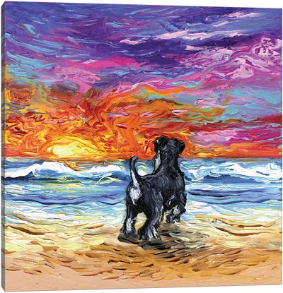 Beach Days - Schnauzer Canvas Art Print - Beach Sunrise & Sunset Art