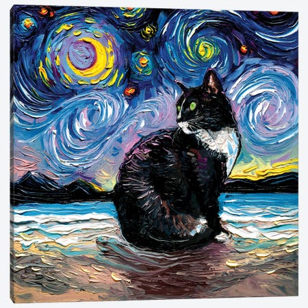 Tuxedo Cat Night II Canvas Print #AJT464} by Aja Trier Canvas Art
