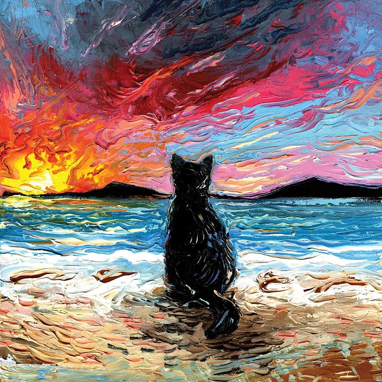 Beach Days -  Black Cat