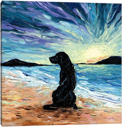 Beach Days -  Black Labrador Canvas Art Print - Beach Sunrise & Sunset Art