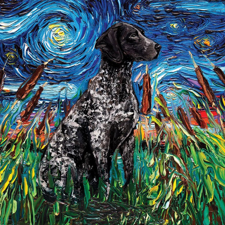 Black German Shorthair Pointer Night