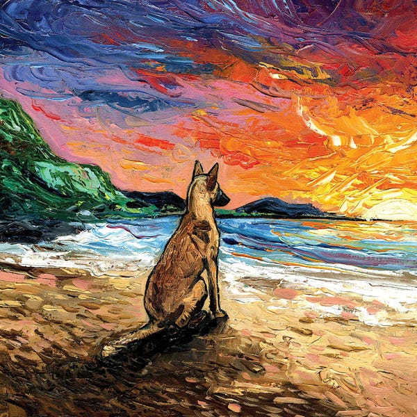 Beach Sunrises & Sunsets: Beach Days - Belgian Malinois by Aja Trier