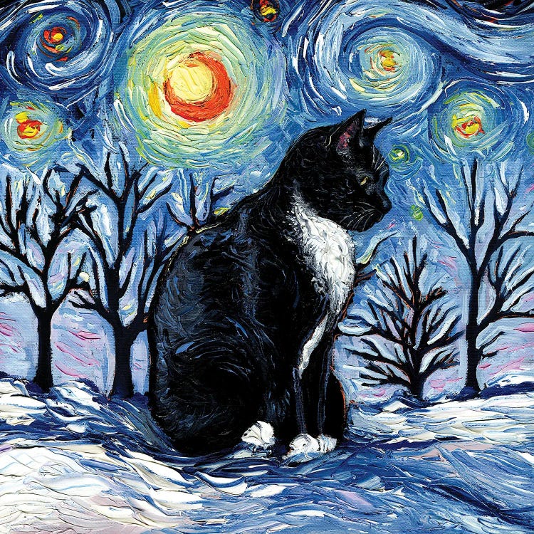 Winter Night - Tuxedo Cat