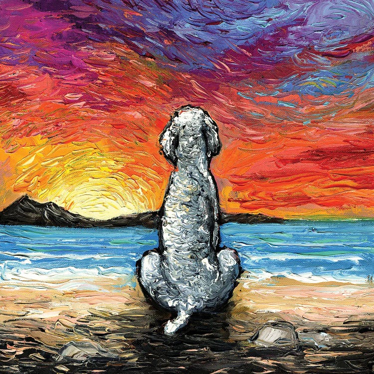 Beach Days - White Poodle by Aja Trier wall art