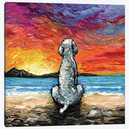 Beach Days - White Poodle Canvas Print #AJT495} by Aja Trier Canvas Art Print