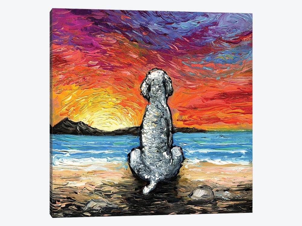 Beach Days - White Poodle by Aja Trier 1-piece Canvas Artwork