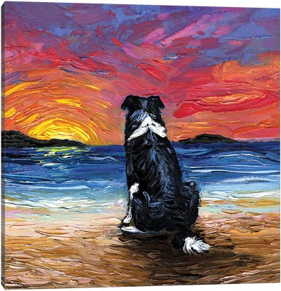 Beach Days - Border Collie Canvas Art Print - Pet Industry