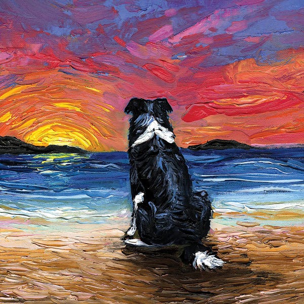 Beach Sunrises & Sunsets: Beach Days - Border Collie by Aja Trier