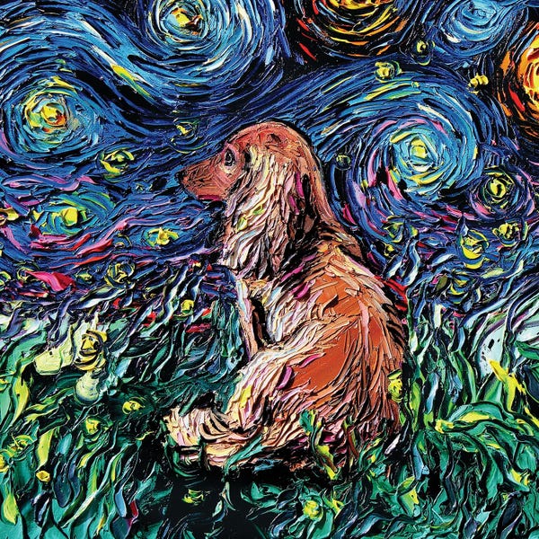 Starry Night Collection: Brown Longhair Dachshund Night by Aja Trier