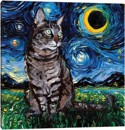 Tabby Night Canvas Art Print - Starry Night Collection