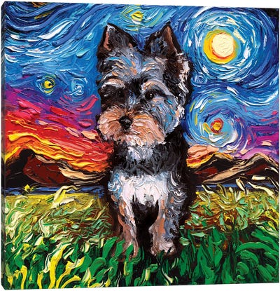 Yorkie Night II Canvas Art Print - Yorkshire Terrier Art