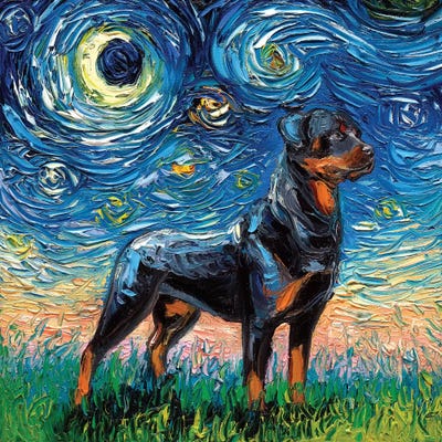 Rottweiler Night I by Aja Trier framed wall art