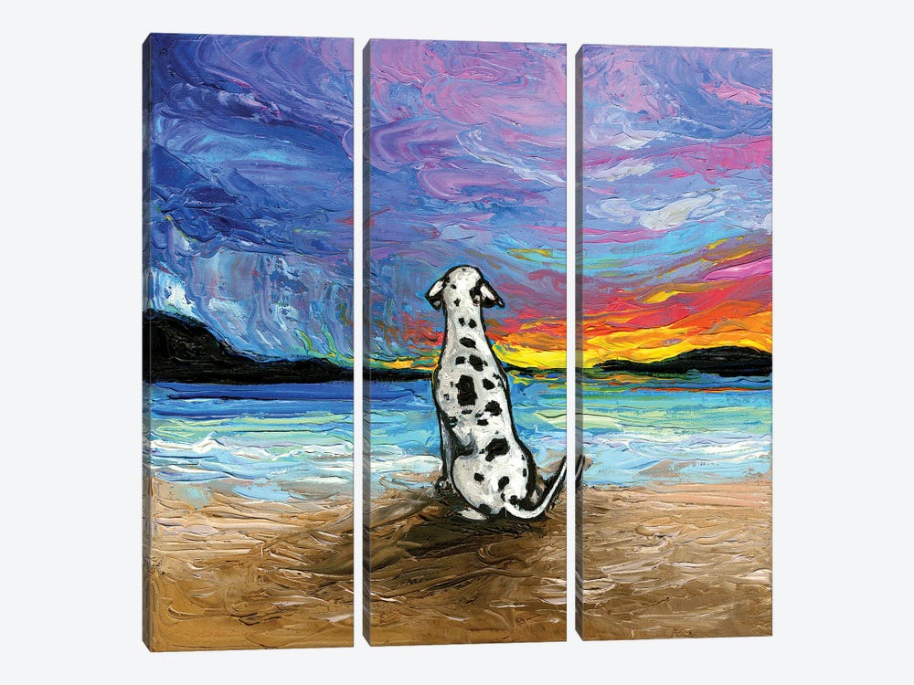 Beach Days - Dalmatian by Aja Trier 3-piece Canvas Art