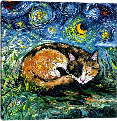 Sleepy Calico Night Canvas Art Print - Starry Night Collection