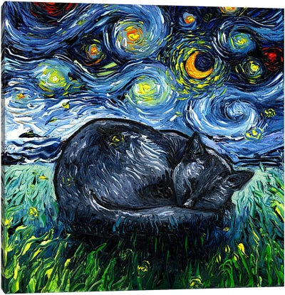Sleepy Black Cat Night Canvas Art Print - Night Sky Art