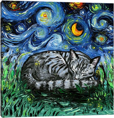 Sleepy Gray Tabby Night Canvas Art Print - Tabby Cat Art