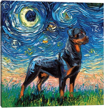 Rottweiler Night I Canvas Art Print - Rottweilers
