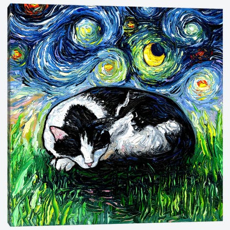 Sleepy Tuxedo Cat Night Canvas Print #AJT523} by Aja Trier Canvas Art