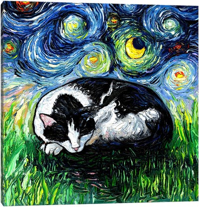 Sleepy Tuxedo Cat Night Canvas Art Print - Night Sky Art