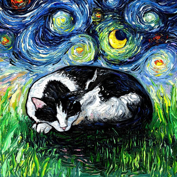 Kids Animal Art: Sleepy Tuxedo Cat Night by Aja Trier