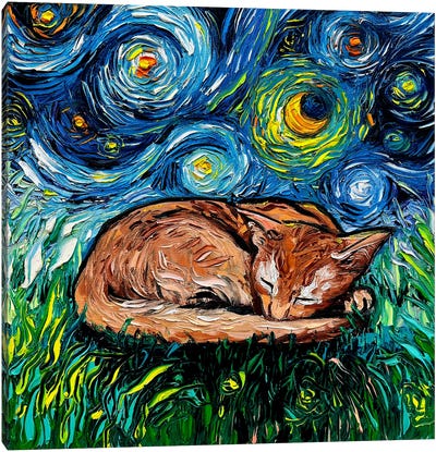 Sleepy Abyssinian Night Canvas Art Print - Abyssinian Cat Art