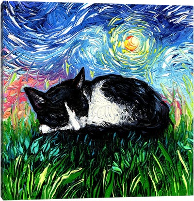 Sleepy Tuxedo Kitten Night Canvas Art Print - Starry Night Collection