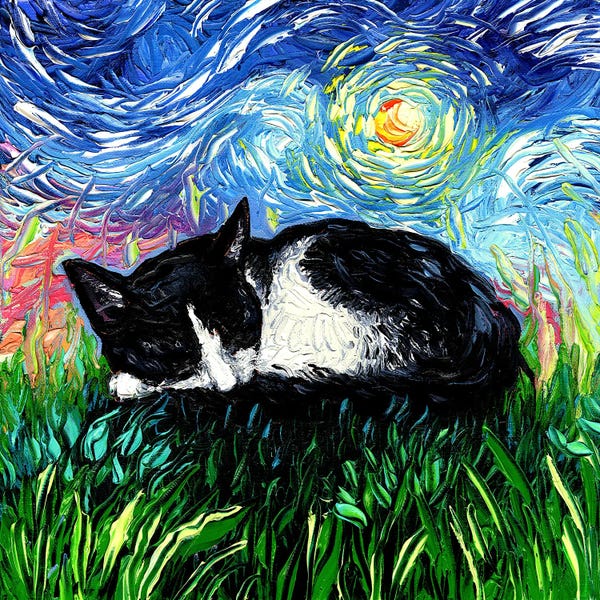 Tuxedo Cats: Sleepy Tuxedo Kitten Night by Aja Trier
