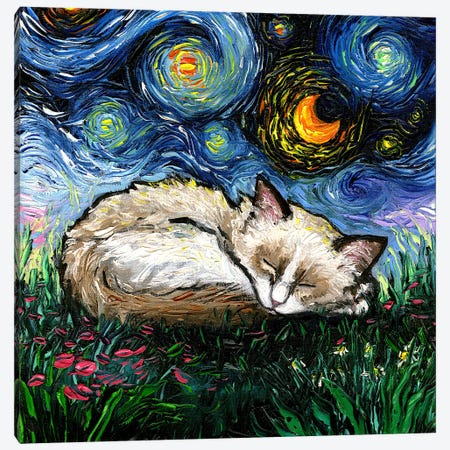 Sleepy Ragdoll Kitten Night Canvas Print #AJT528} by Aja Trier Canvas Artwork