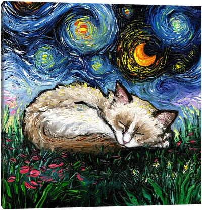 Sleepy Ragdoll Kitten Night Canvas Art Print - Starry Night Collection