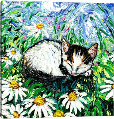 Sweet Dreams Canvas Art Print - Calico Cat Art