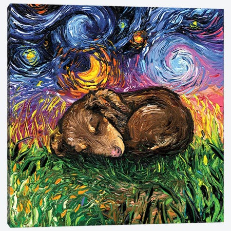 Sleepy Brown Dachshund Pup Night Canvas Print #AJT536} by Aja Trier Canvas Art
