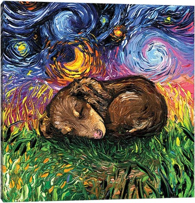 Sleepy Brown Dachshund Pup Night Canvas Art Print - Baby Animal Art