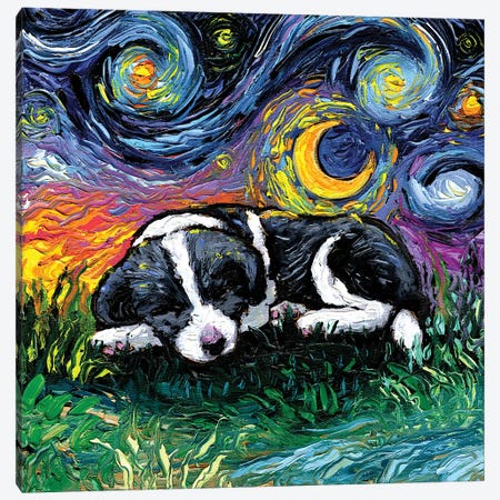 Sleepy Border Collie Pup Night Canvas Print #AJT537} by Aja Trier Canvas Artwork