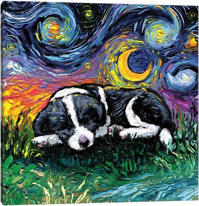 Sleepy Border Collie Pup Night Canvas Art Print - Border Collie Art