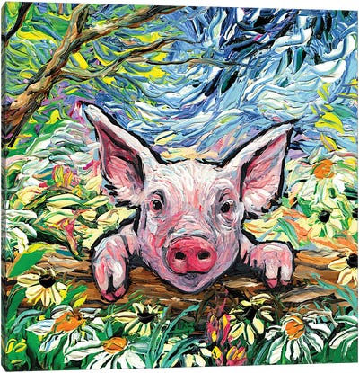 Piglet Canvas Art Print - Daisy Art