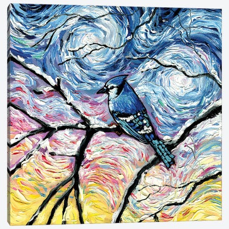 Blue Jay Canvas Print #AJT549} by Aja Trier Canvas Wall Art