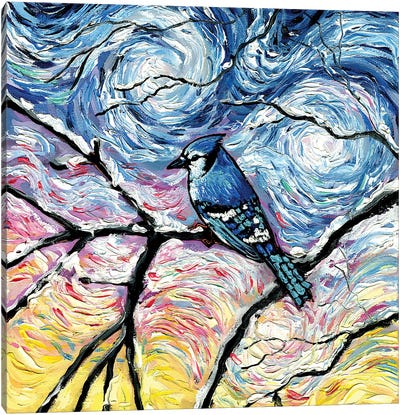 Blue Jay Canvas Art Print - Aja Trier